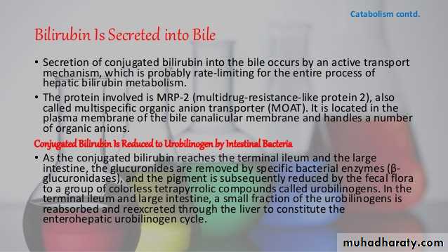 porphrins bile pigments