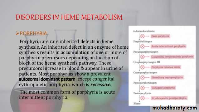 porphrins bile pigments