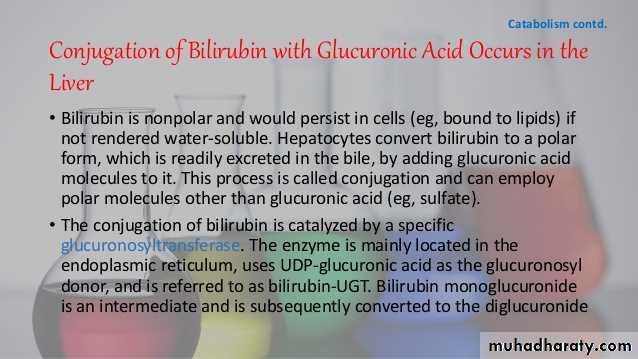 porphrins bile pigments