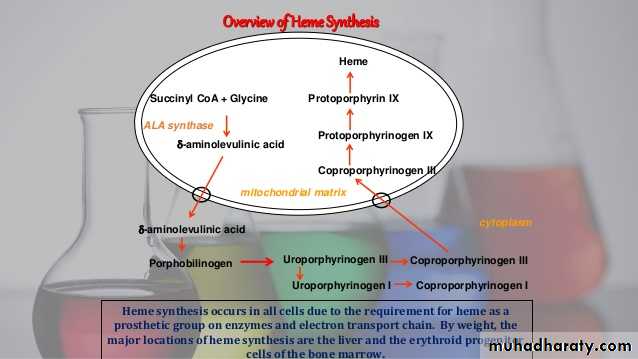 porphrins bile pigments