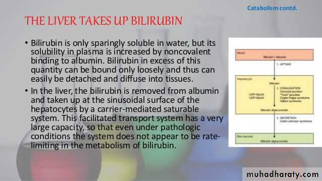 porphrins bile pigments