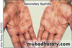 Spirochetes