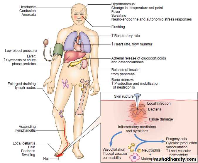 Immunological factors in disease