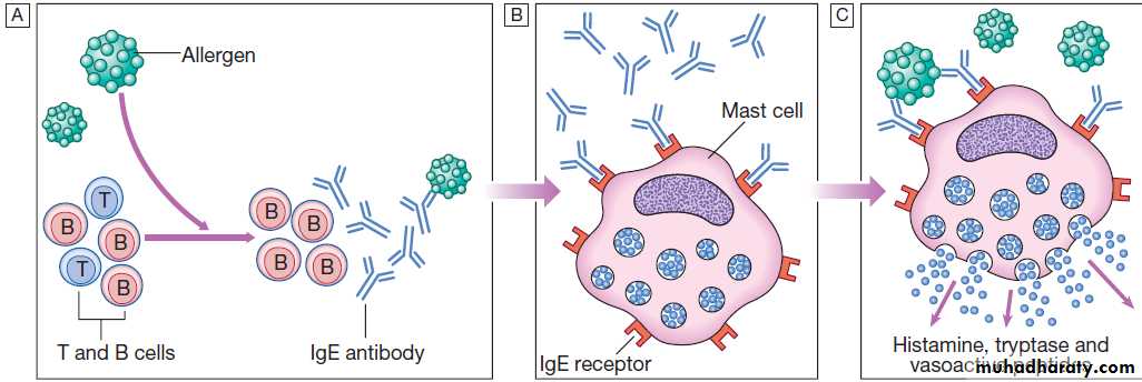 Immunological factors in disease