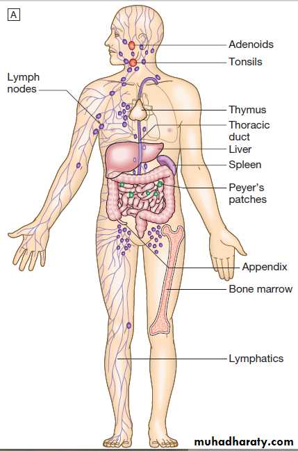 Immunological factors in disease