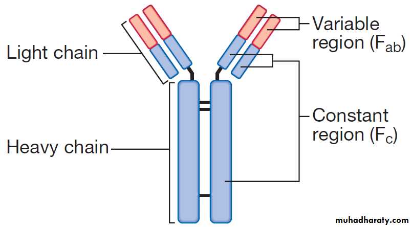Immunological factors in disease