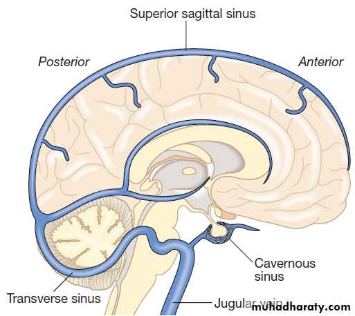 Stroke