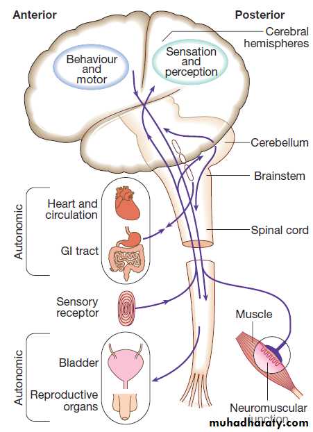 Neurological disease