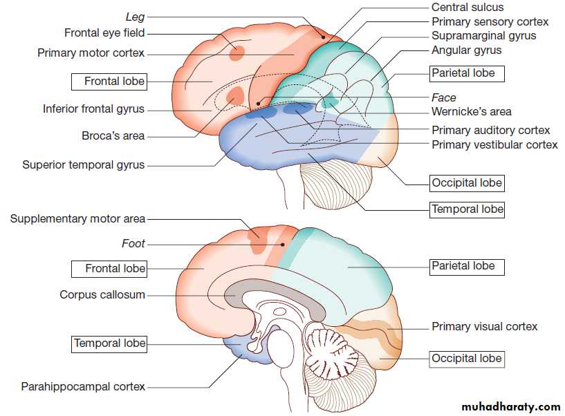 Neurological disease