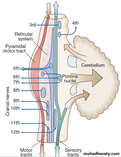 Neurological disease