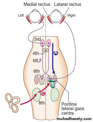 Neurological disease