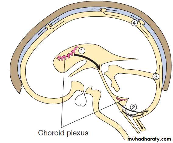 Neurological disease