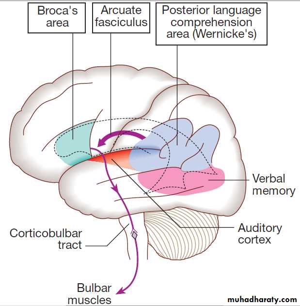 Neurological disease