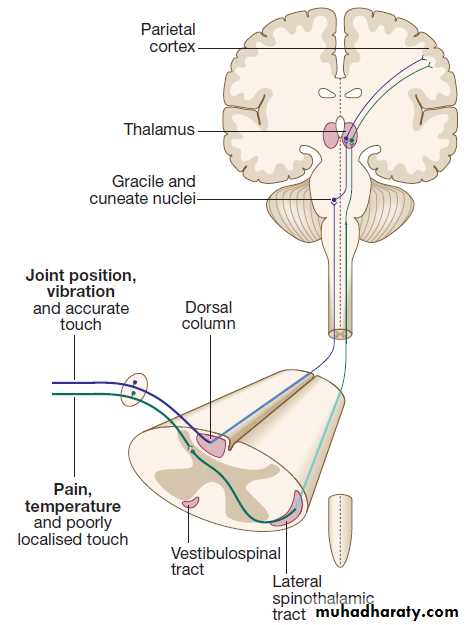 Neurological disease