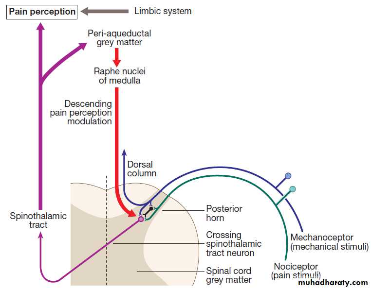 Neurological disease