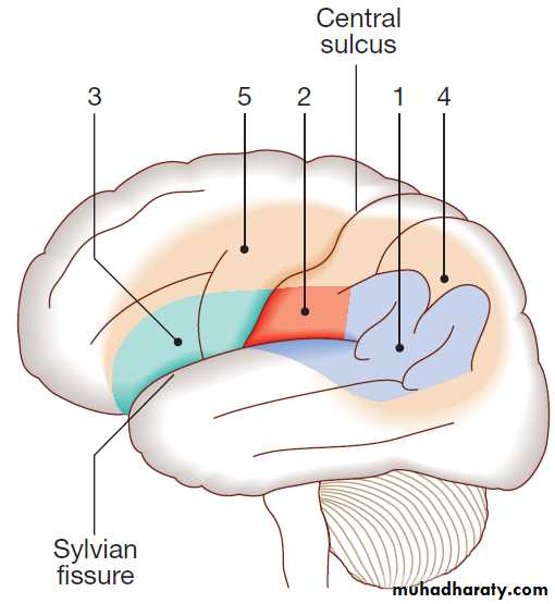 Neurological disease