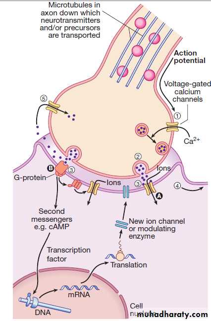 Neurological disease