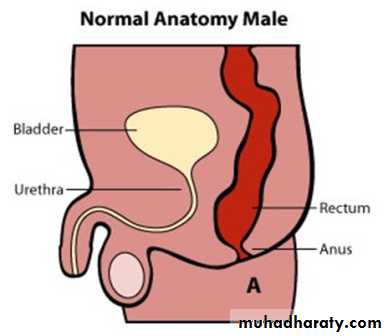 Pediatric surgery 2