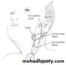 pediatric-surgery-3-neck-mass