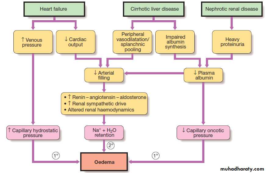 clinical biochemistry