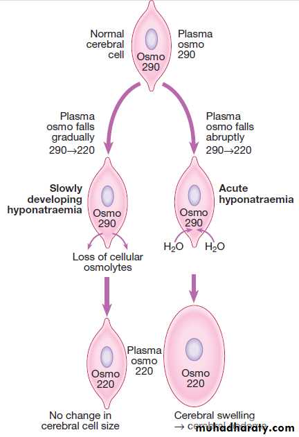 clinical biochemistry