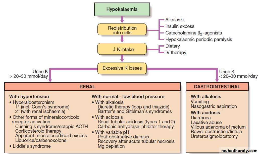 clinical biochemistry