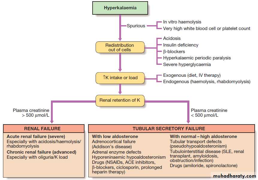 clinical biochemistry