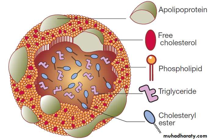 clinical biochemistry