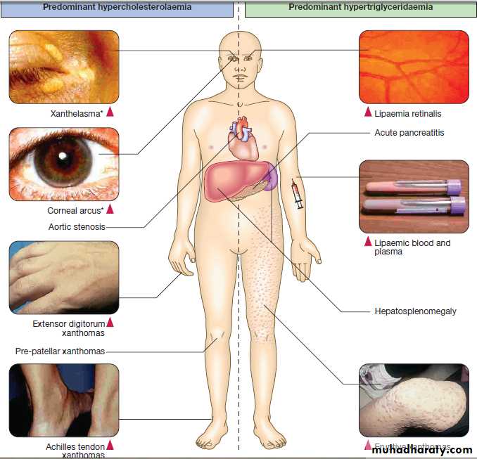 clinical biochemistry