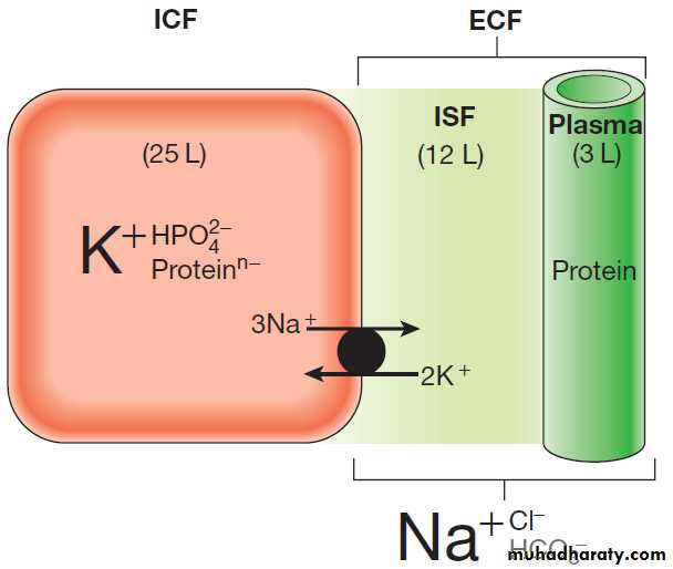 clinical biochemistry