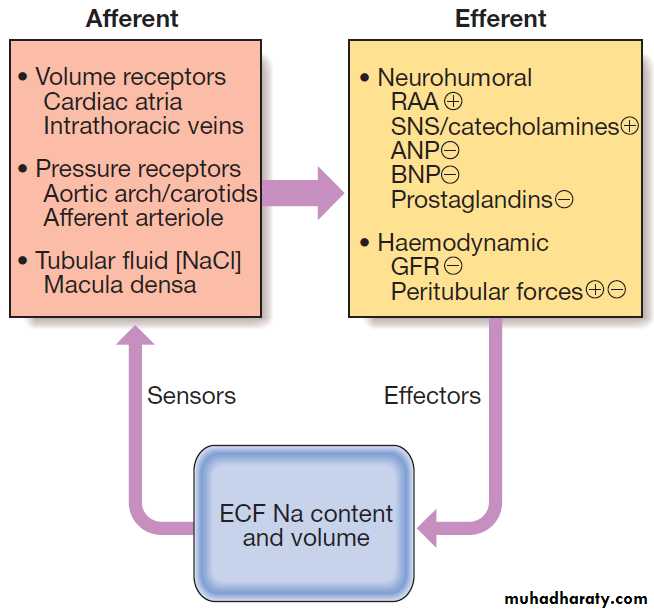 clinical biochemistry