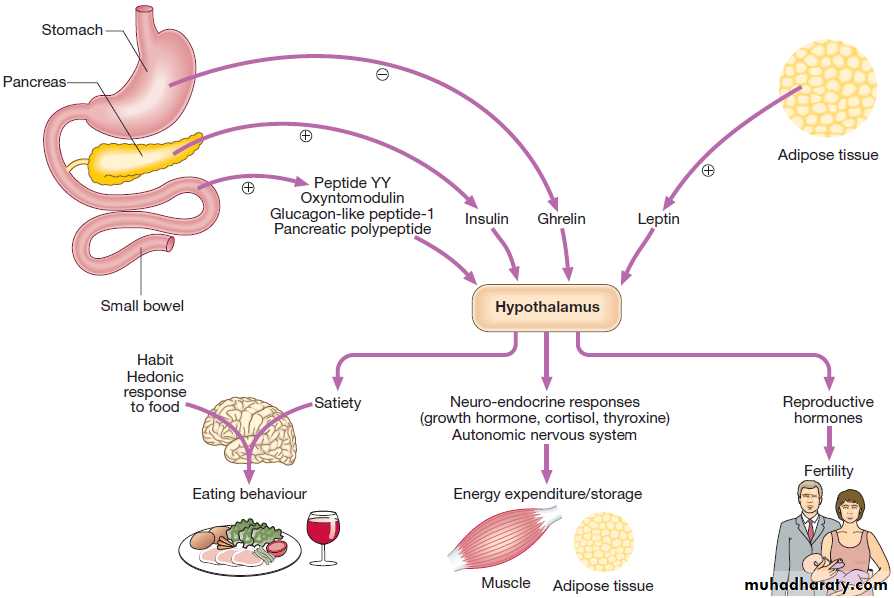 Environmental and nutritional factors in disease