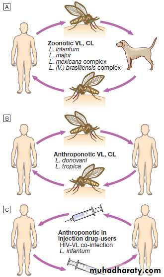 Infectious disease