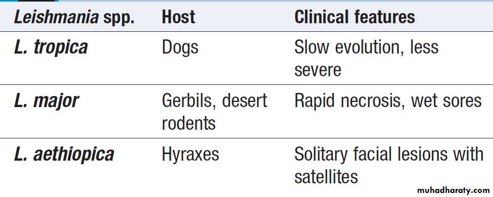 Infectious disease
