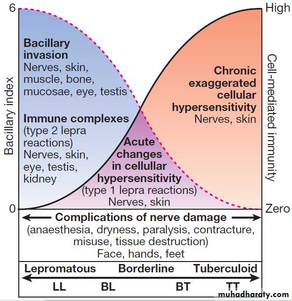 Infectious disease