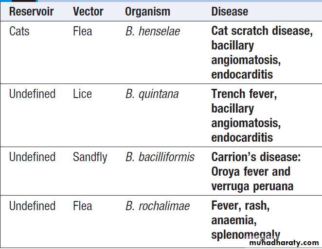 Infectious disease