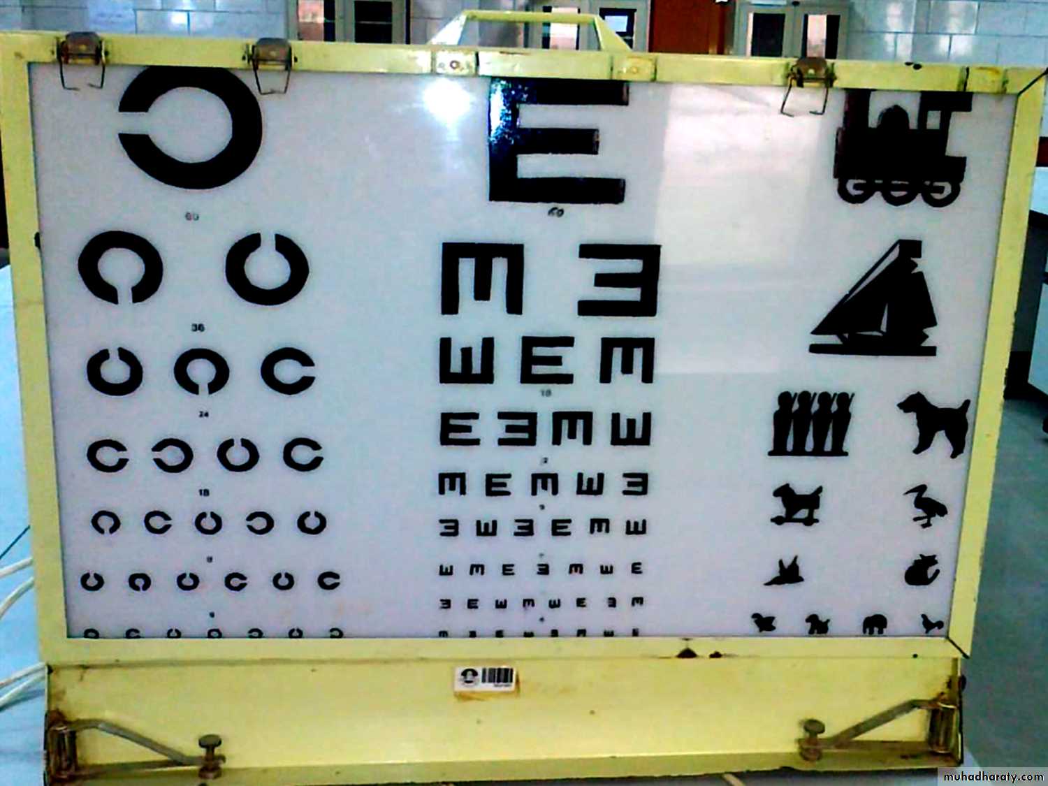 Visual and hearing