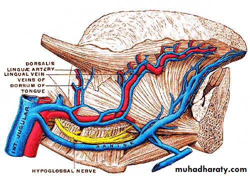 the head
