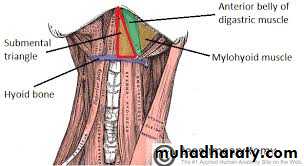 Fascial spaces