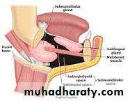 Fascial spaces