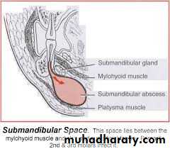 Fascial spaces