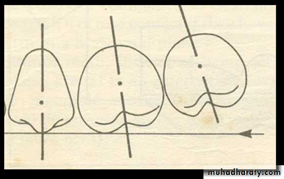 نظري