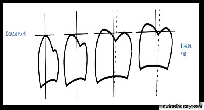 نظري