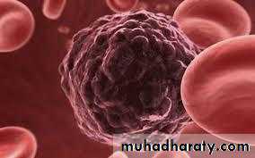 Oncology