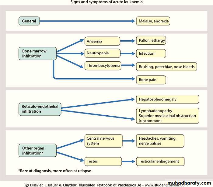 Oncology