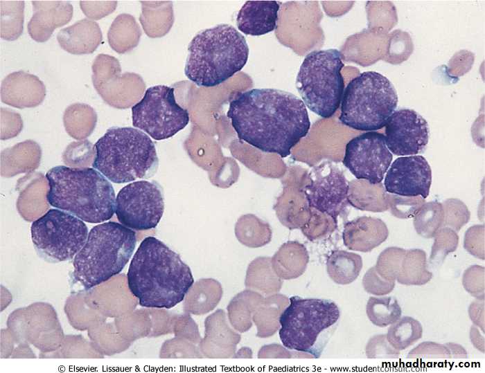 Oncology