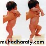 Growth and Development