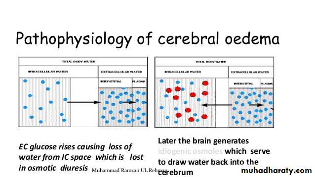 Endocrinology