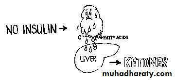 Endocrinology