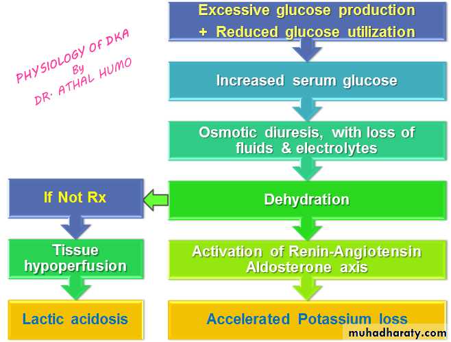 Endocrinology